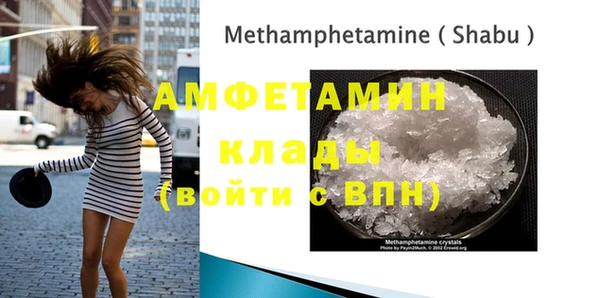 индика Богородск